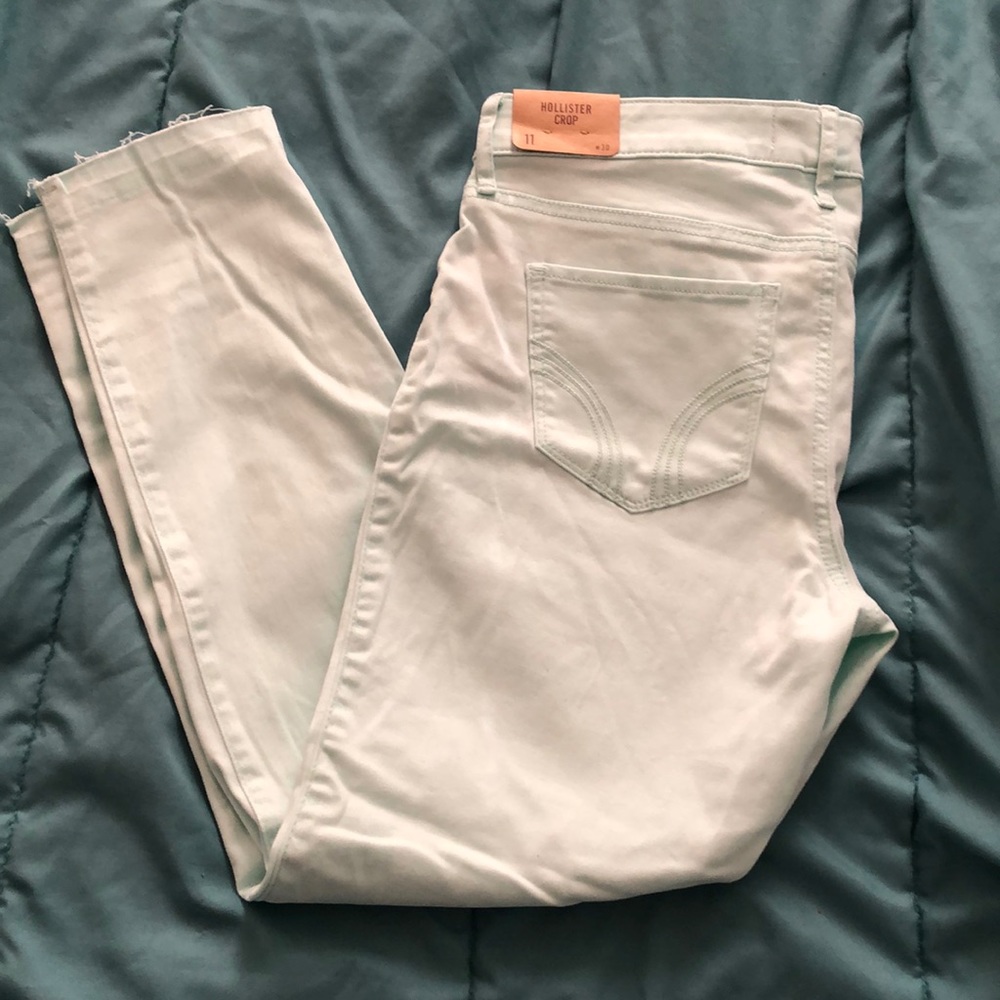 Hollister Crops for Spring!